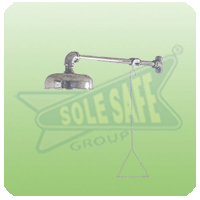 Wall Mounted Shower Head - SS SSS-PPE-ESS-WMSH-1014-SS