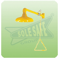 Wall Mounted Shower Head SSS-PPE-ESS-WMSH-1013-ABS