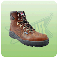 Trainix Brown Shoes SSS-PPE-ISS-TB-2502
